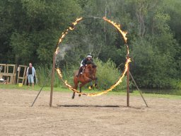 IMG_1666_web